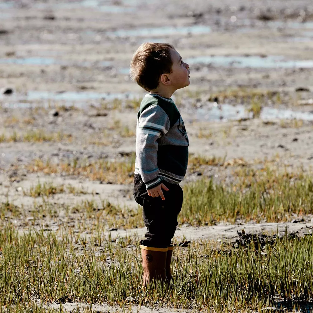 Knit Sweater With Dog - Image 3